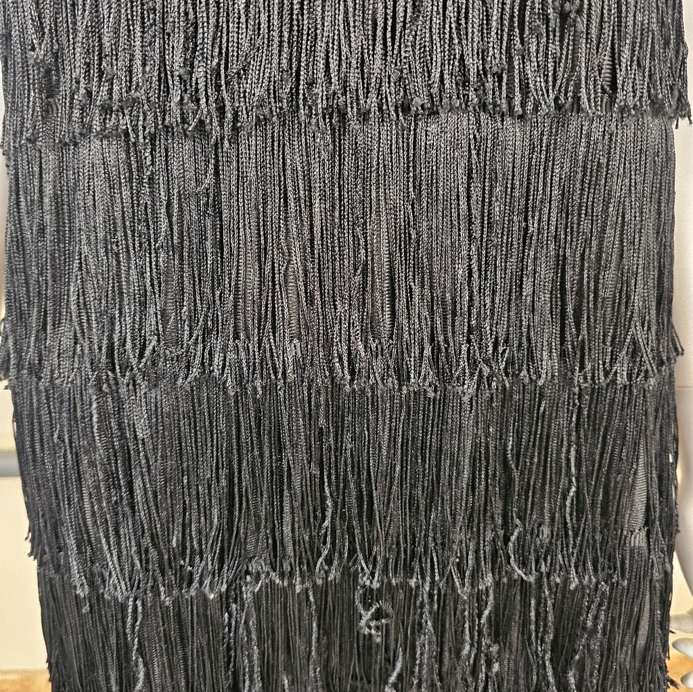California Costumes Black Fringe Layered 1920's Flapper Dress Size L (Adult) - Picture 6 of 16